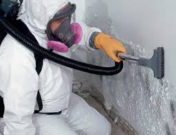 Best Attic Mold Removal  in Zachary, LA